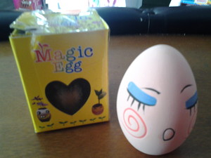 Maggic Egg